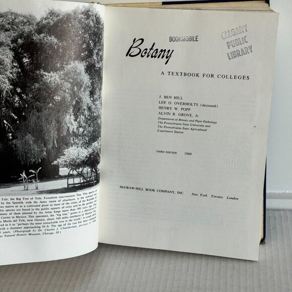 Vintage 1960 Botany: Hill Overholts Popp Grove Mcgraw-Hill Hardcover Book - Picture 5 of 12